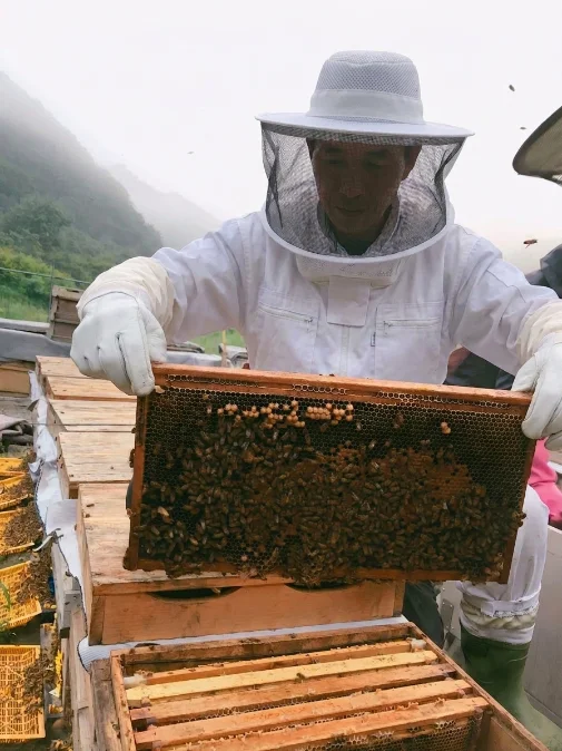 수확 장면
